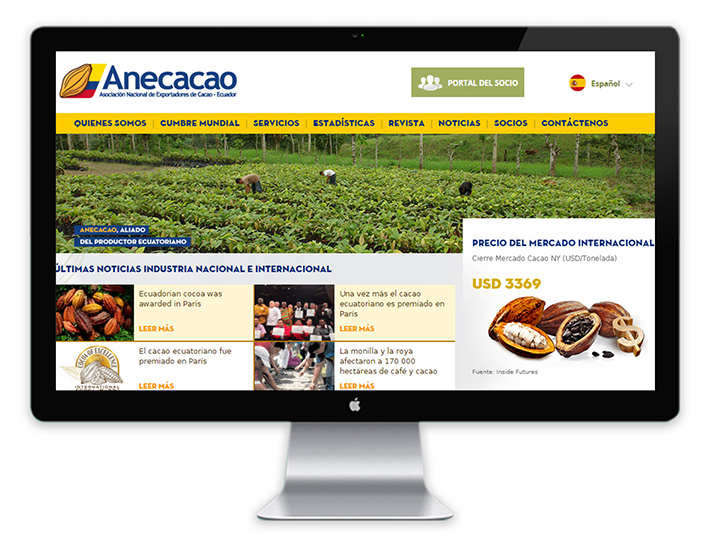 Diseño Sitio Web Guayaquil
