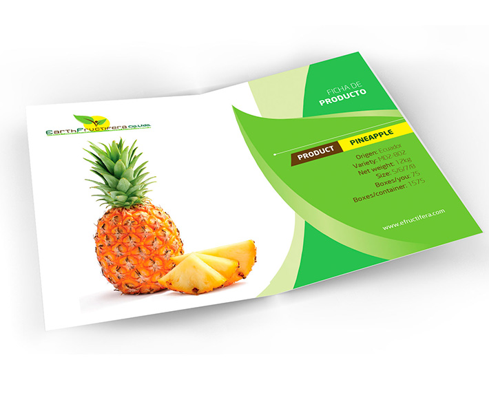 Brochure design Ecuador